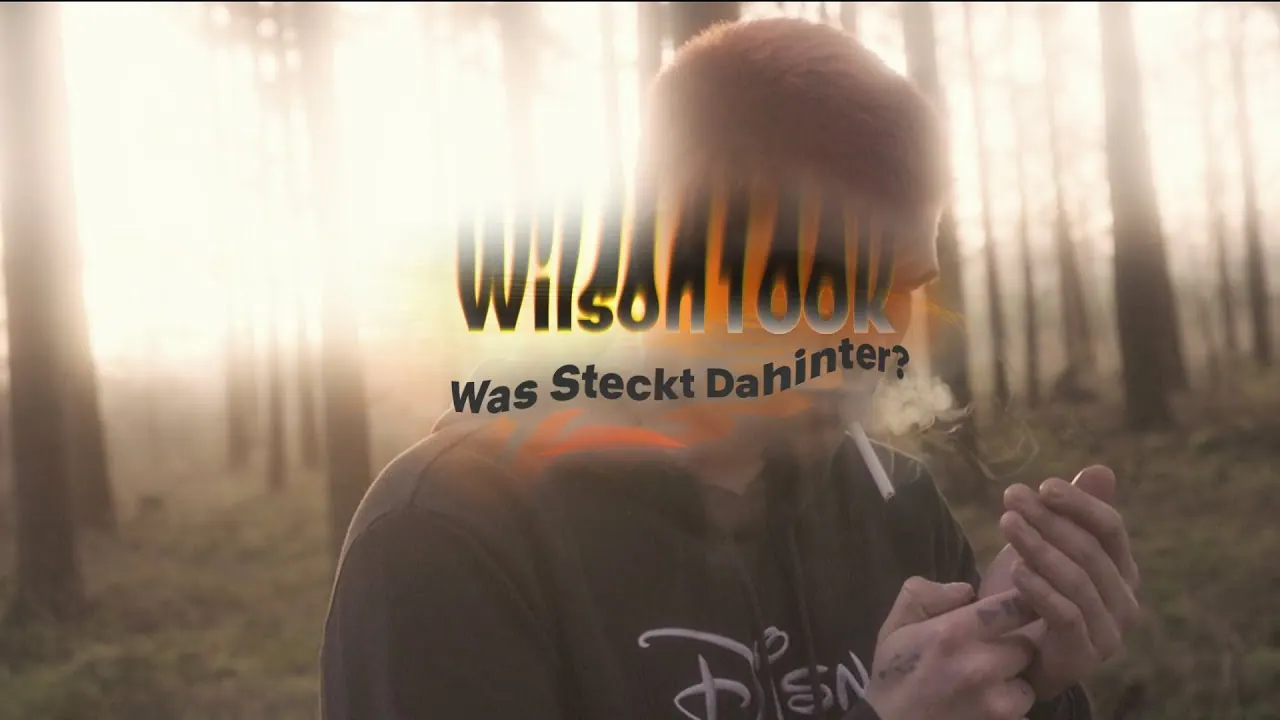 was steckt dahinter? — wilson100k